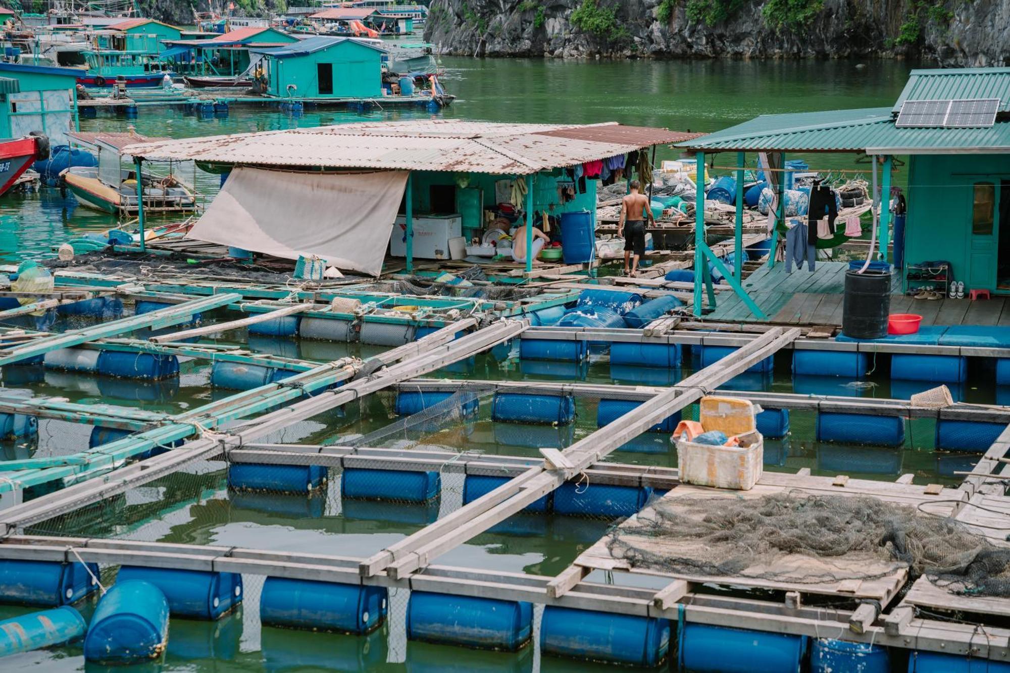 Hotel Venezia Cruises Ha Long Zewnętrze zdjęcie